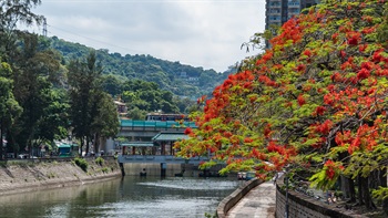  Kwong Fuk Bridge